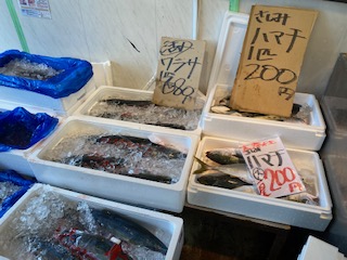 広場 ナルミ 杉本 魚 日本一安い魚屋？ナルミ杉本の場所と営業時間！安い仕入れ方法の秘密とは？